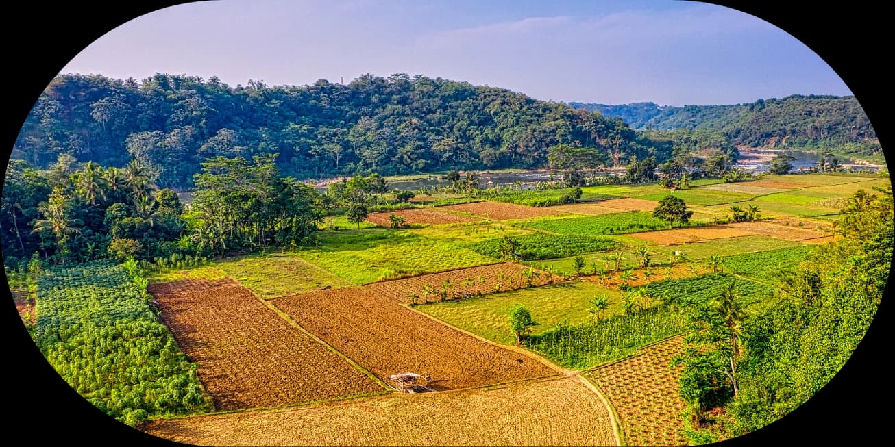 Agri-Grow Grenada farm aerial shot